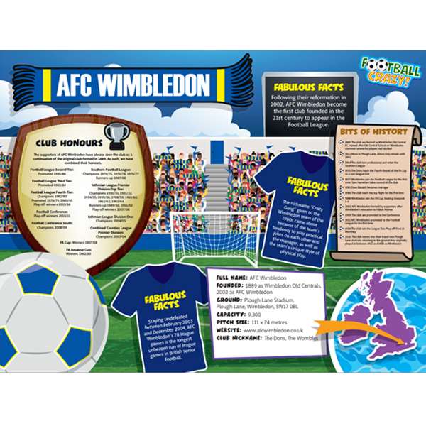 FOOTBALL CRAZY AFC WIMBLEDON (CRF400)